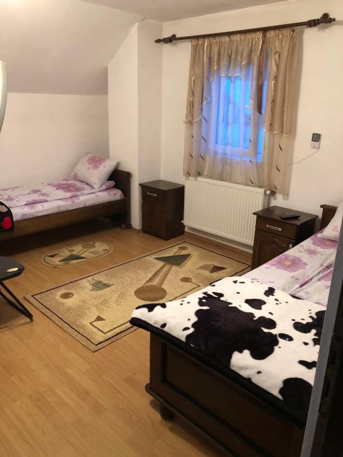 Cameră dublă Deluxe cu pat suplimentar