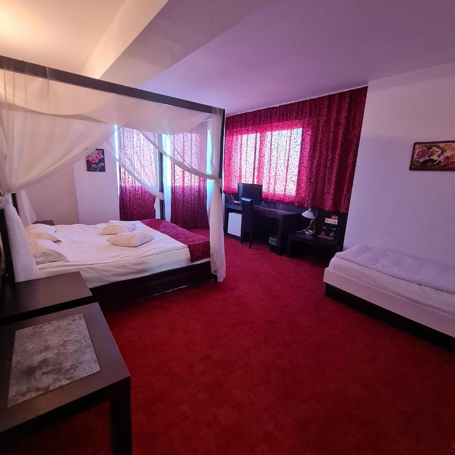 Suită