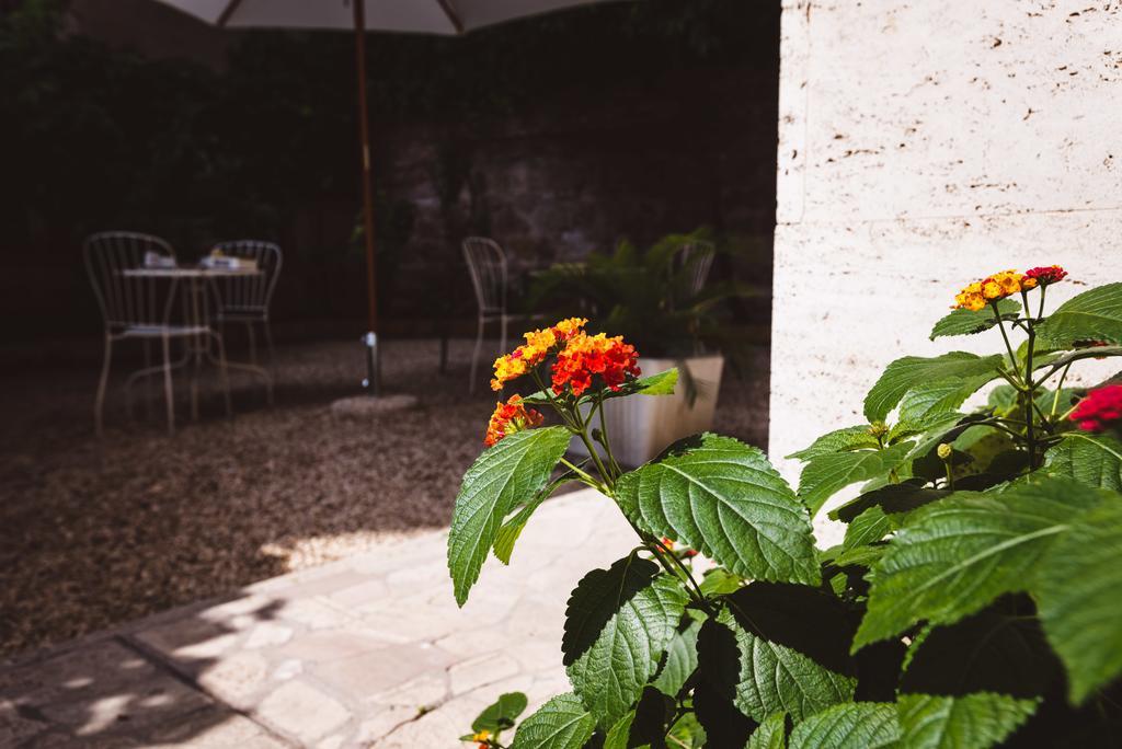 Double Room with Shared Garden,450637623:JPEG