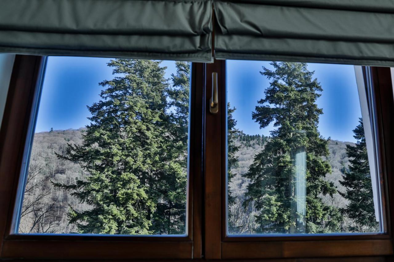 Apartament cu 1 dormitor