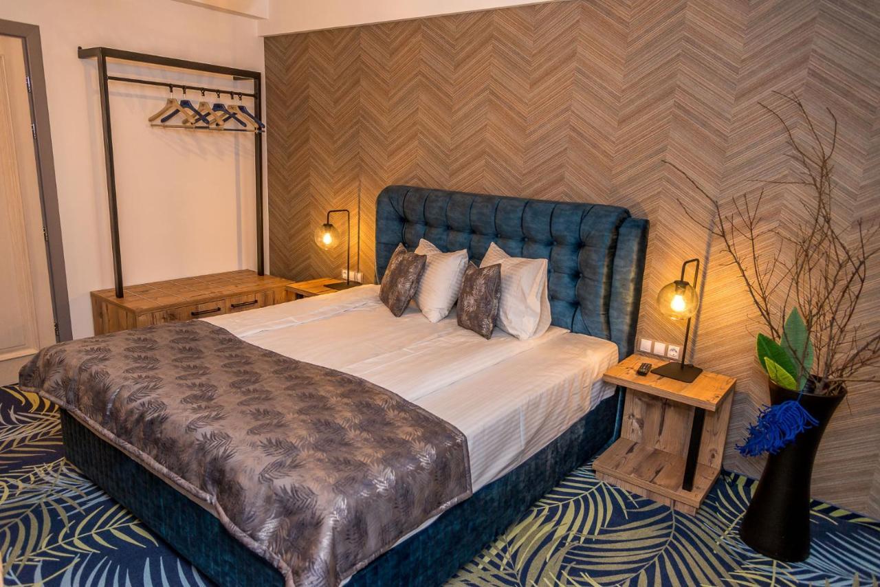 Standard Double Room,790141794:JPEG