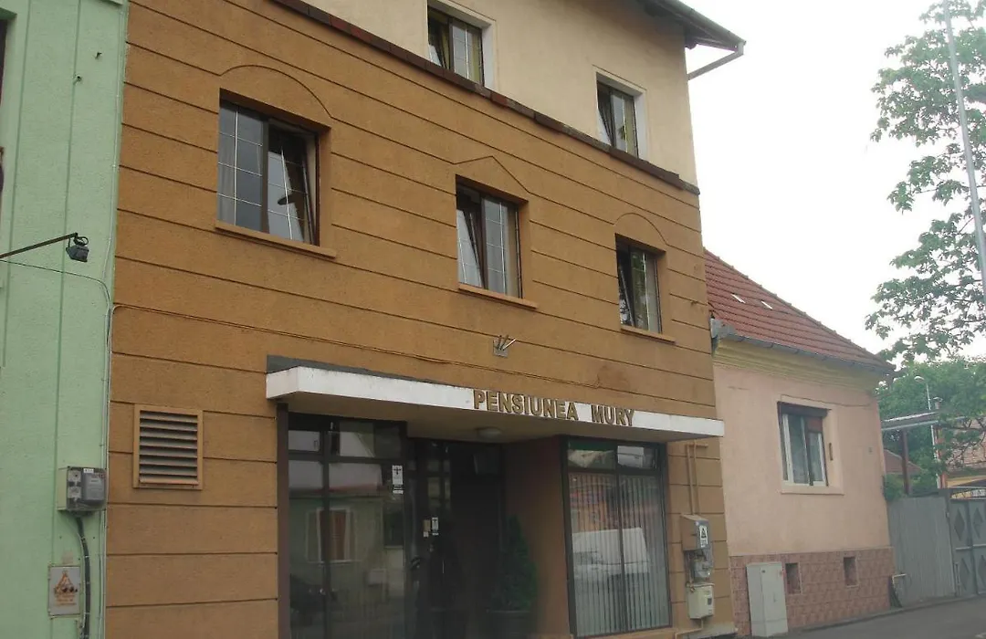 Pensiunea Mury-1