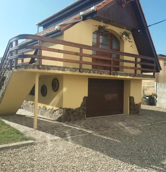 Casa Vlasea Albesti Sighișoara-1