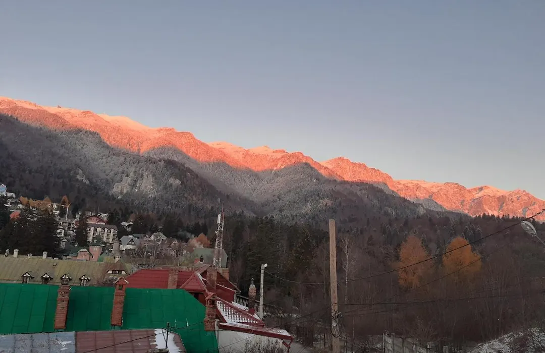 Pensiunea Floare de Colt-1