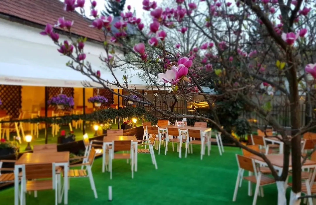 Casa Andreea-1