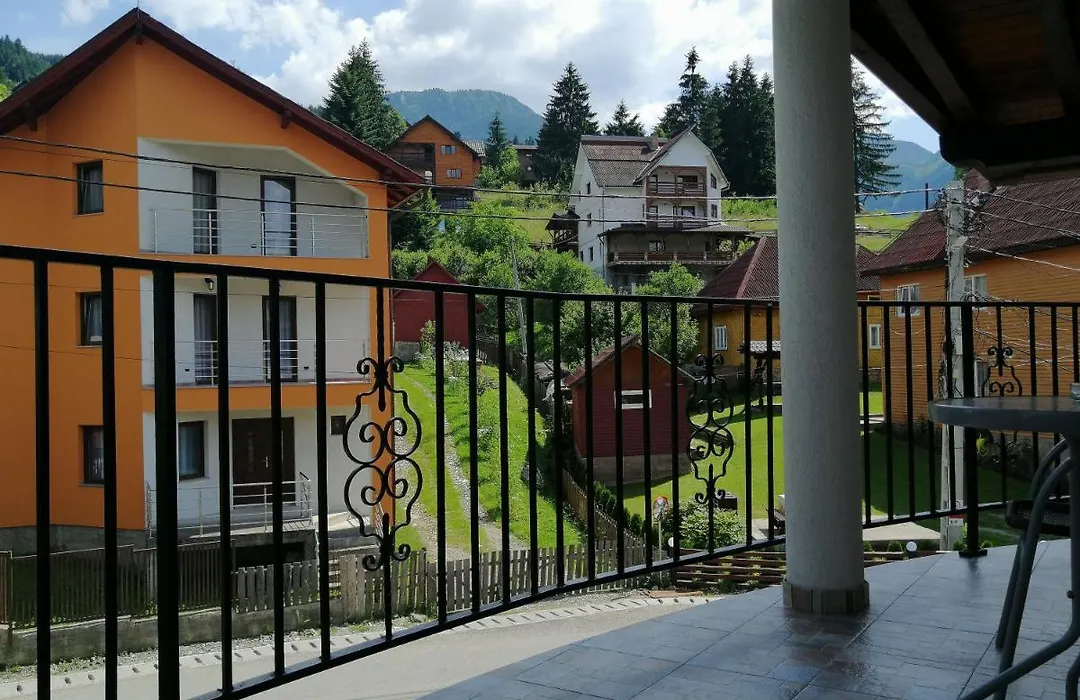 Pensiunea Timiș-1