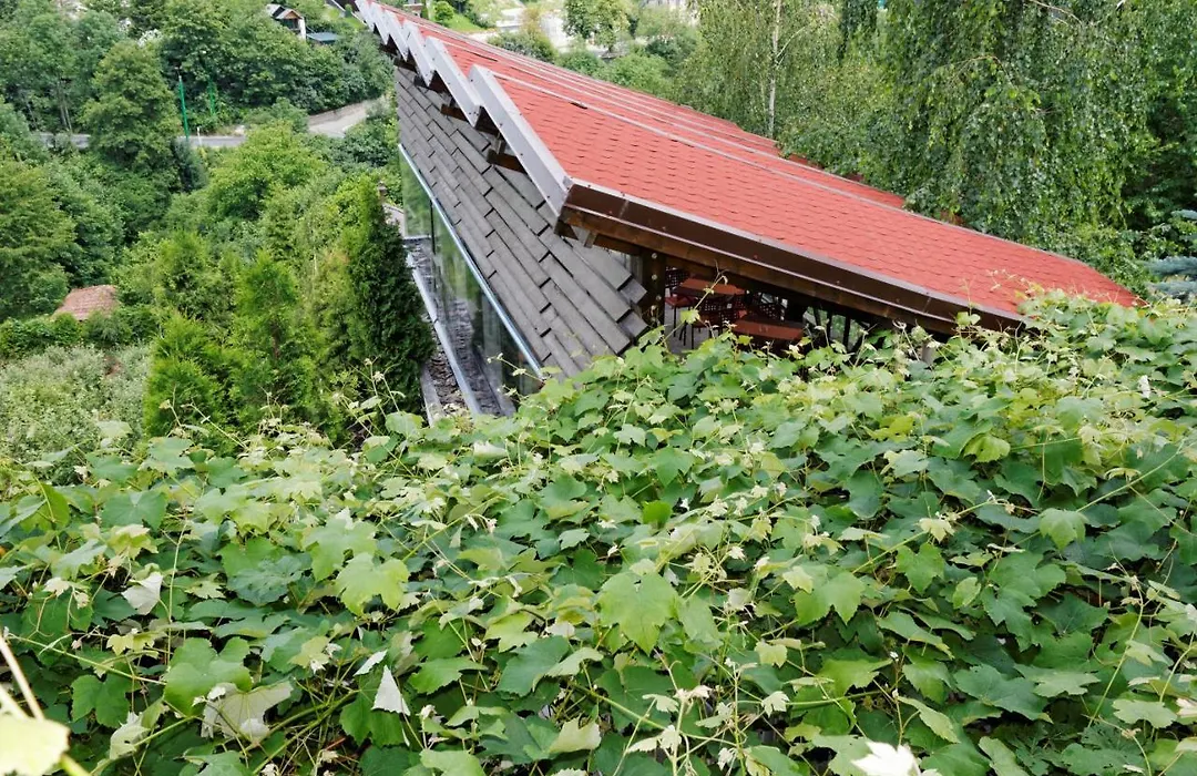Pension Stejeris-1