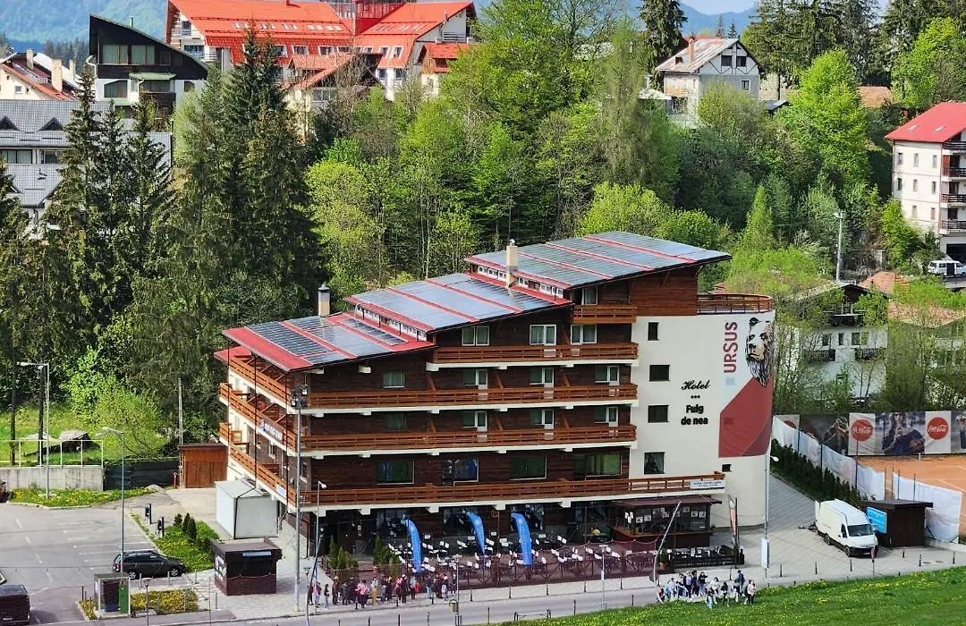 Cabana Fulg De Nea Predeal-1