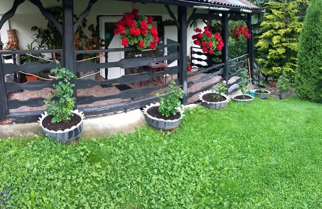 Perla Călimanilor-1
