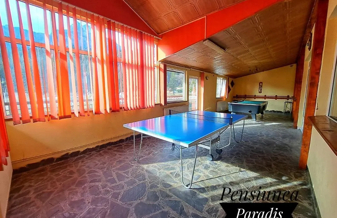 Pensiunea Paradis-1