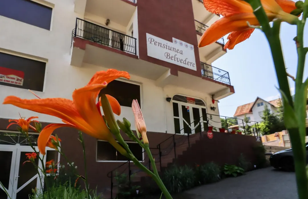 Mont Blanc fostă Belvedere-1