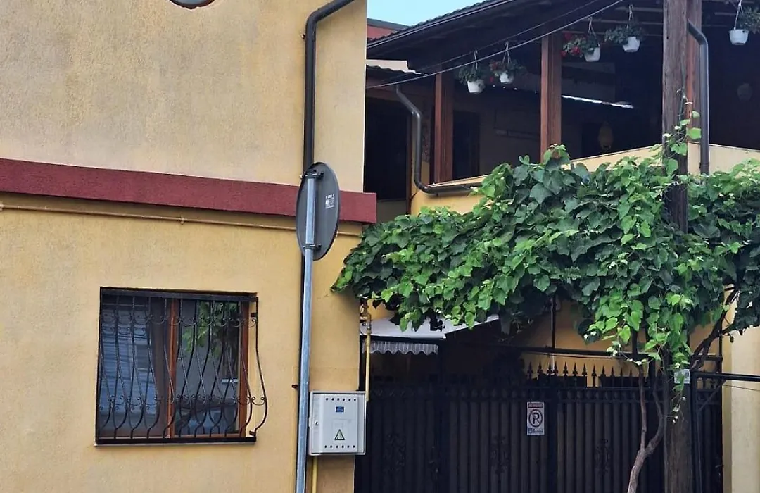 Vila Trandafir-1