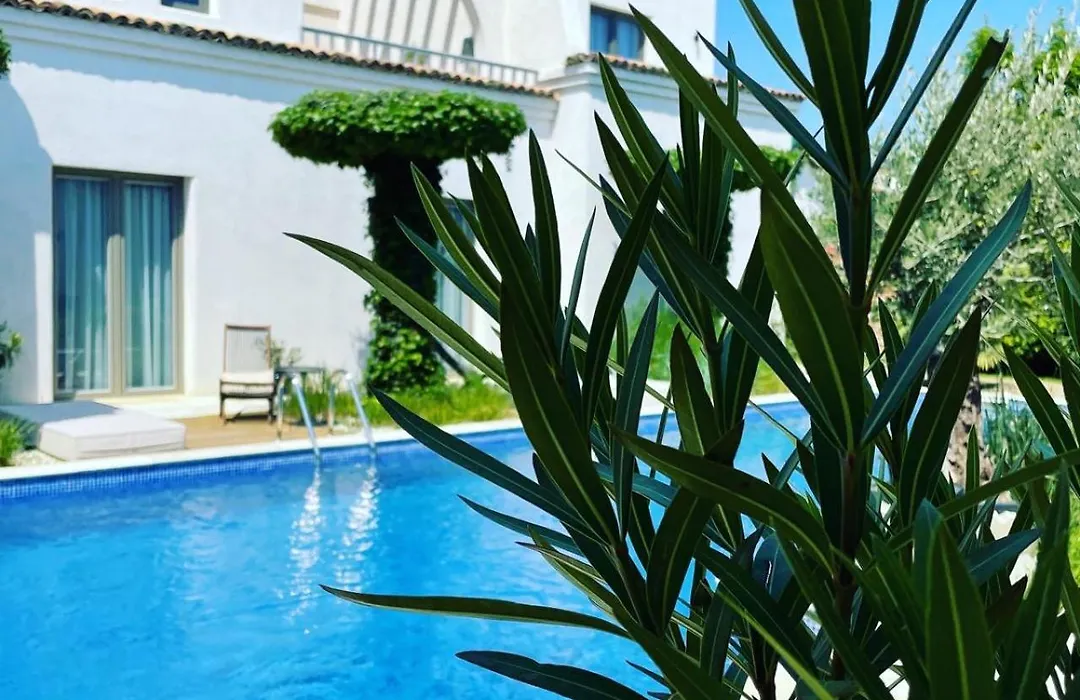 Elia Vama Veche (Adults Only)-1