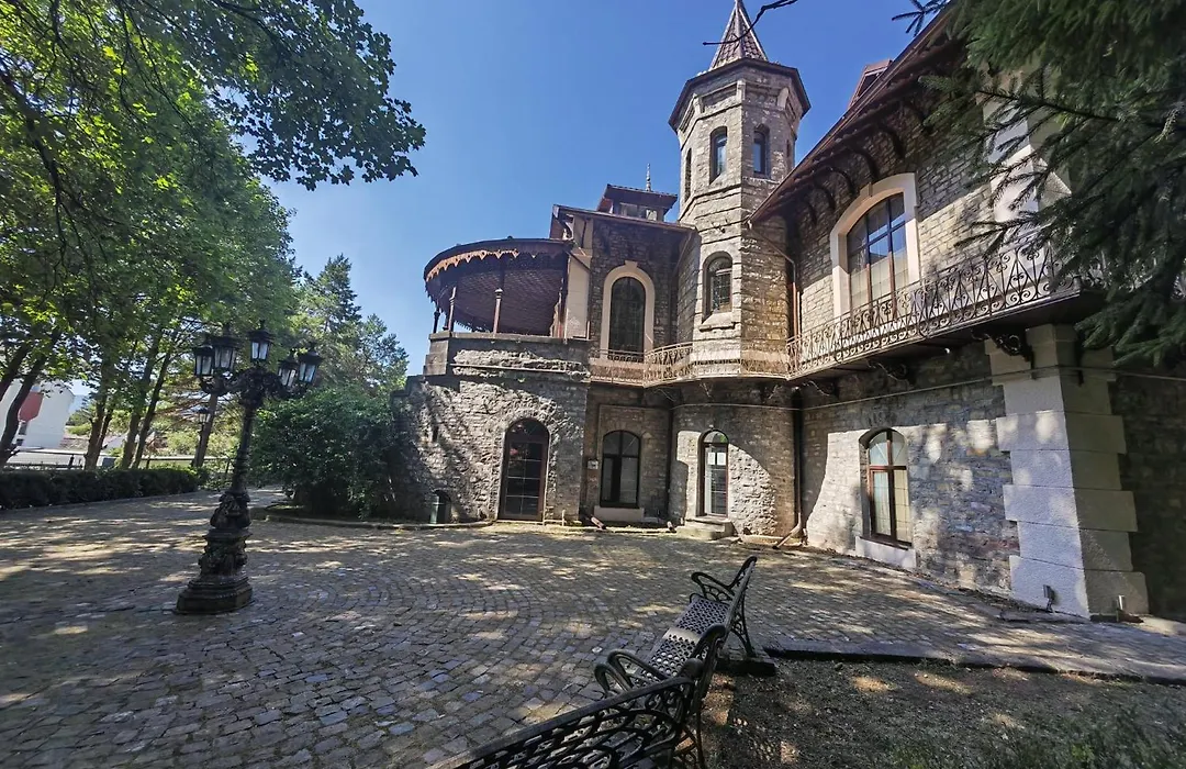 Castelul Stirbey-1