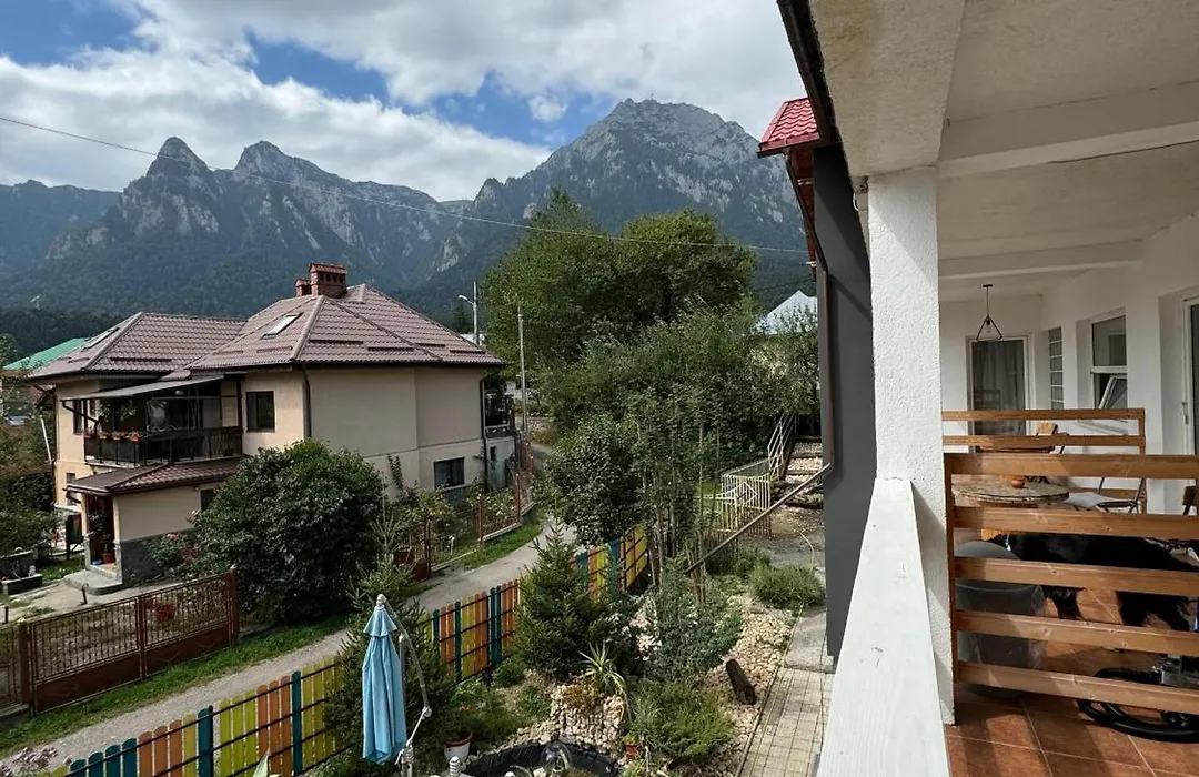 Casa David-1