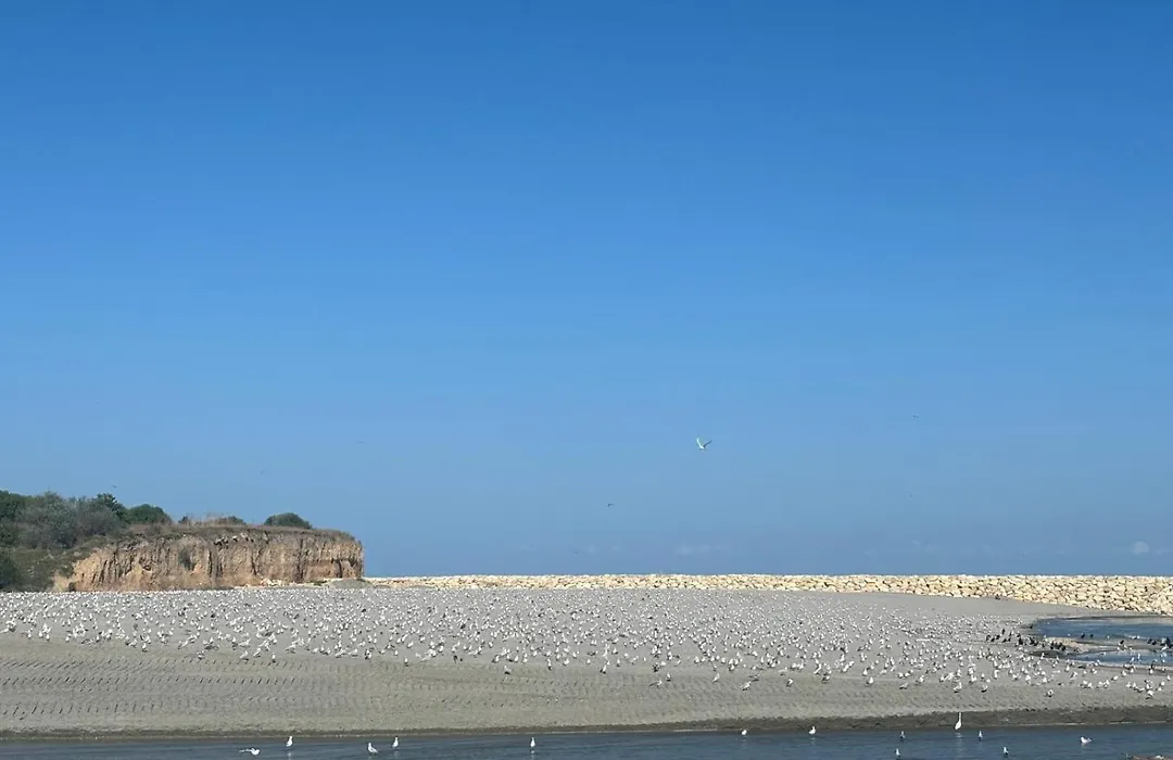 Hacienda De Mare-1