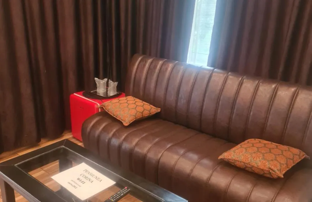 Pensiunea Corina Boutique-1