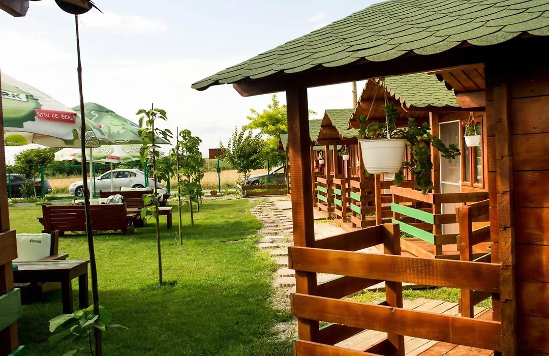 Campul Sophia-1