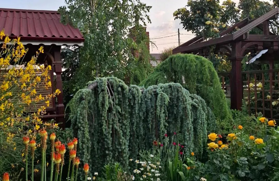 Gardena Rustic - Cabane De Lemn-1