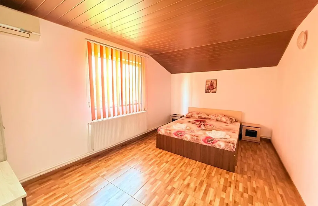 Vila Dragomir-1