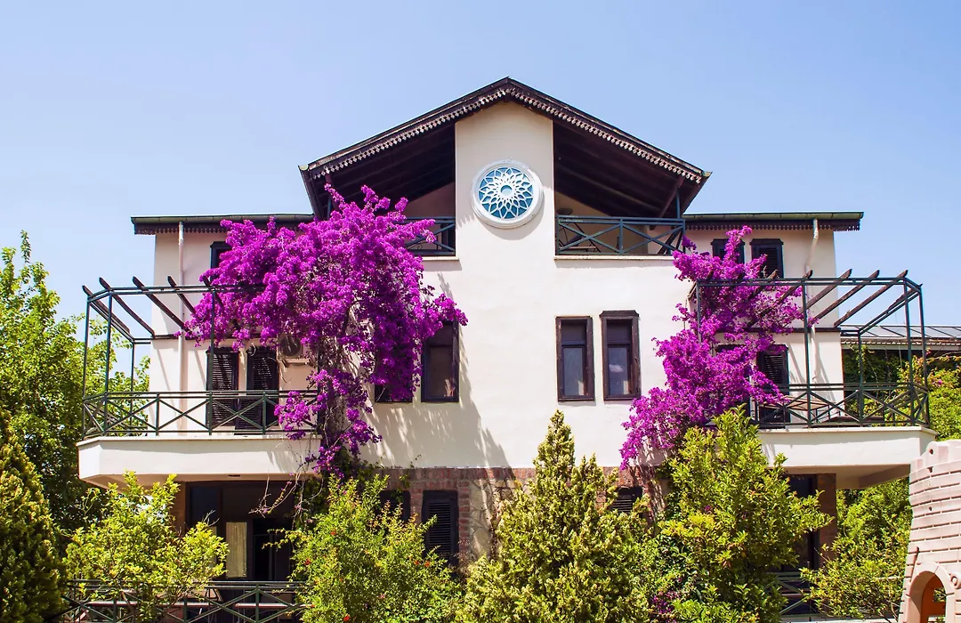 Belkon Hotel-1