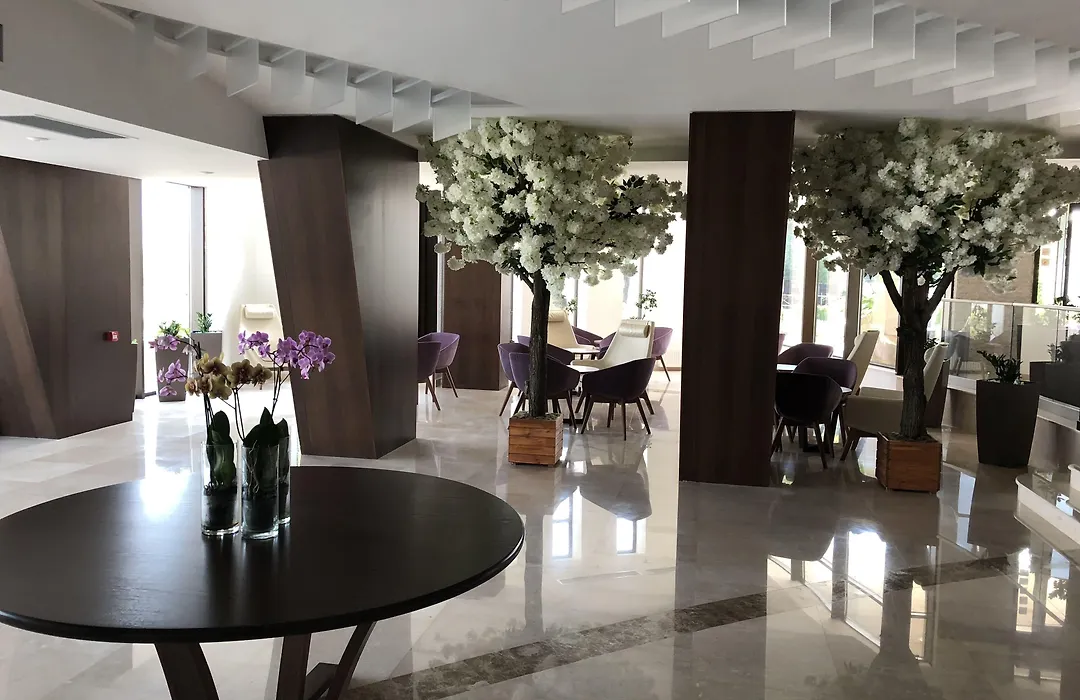 New Belvedere-1