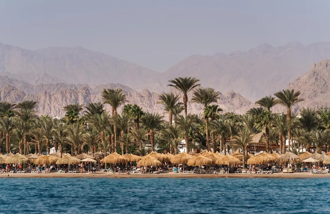 Jaz Sharm Dreams-1