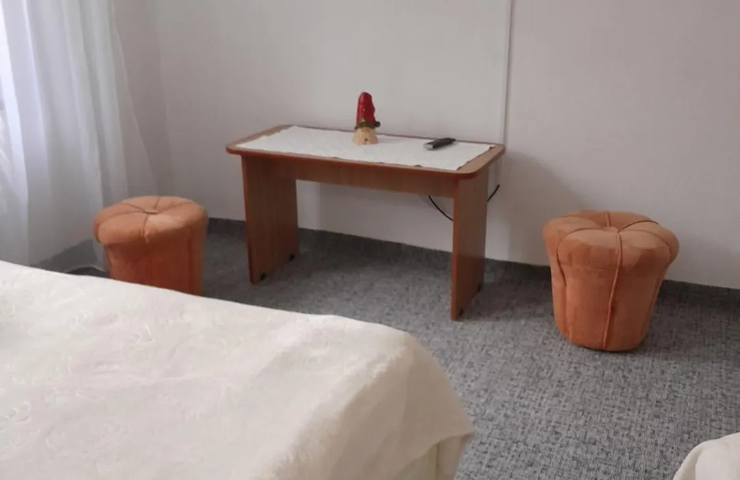 Vila Kira Buşteni-1