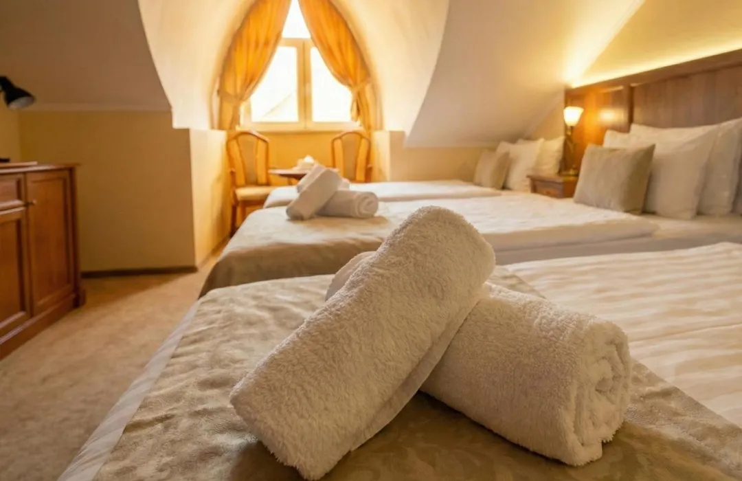 Hotel Maxim-1