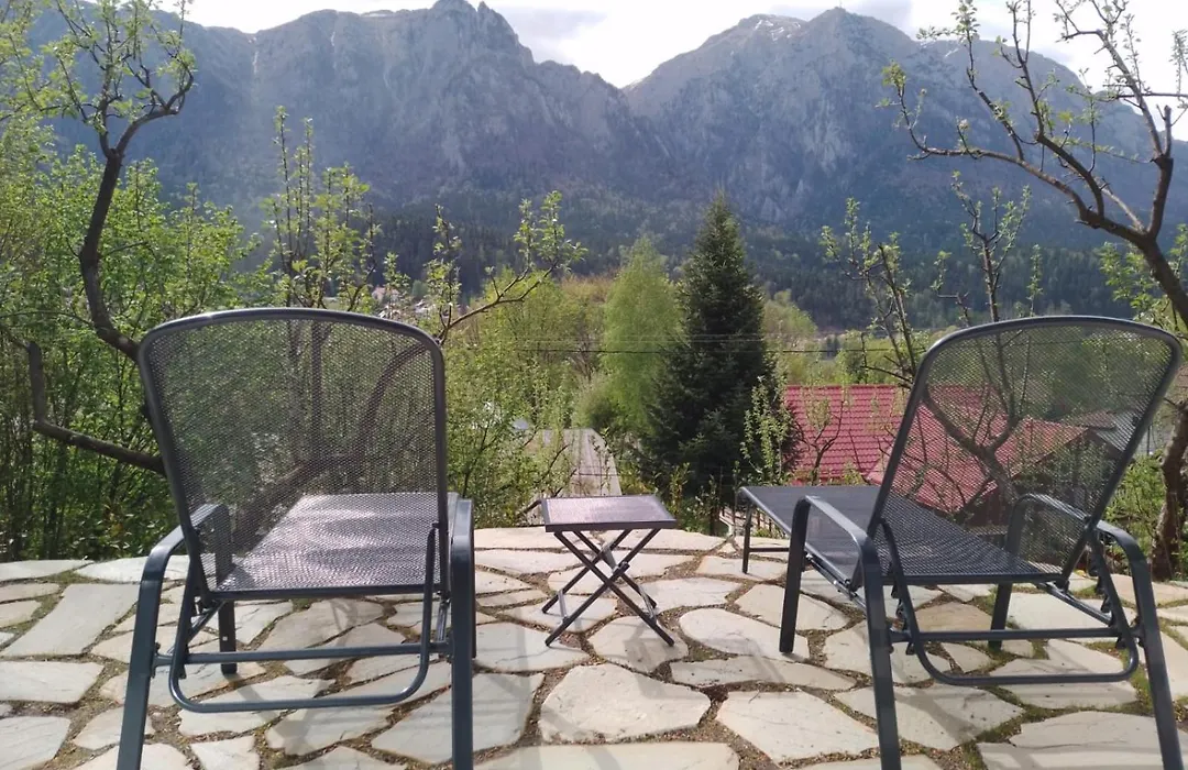 Chalet&Spa Maestrul si Margareta-1