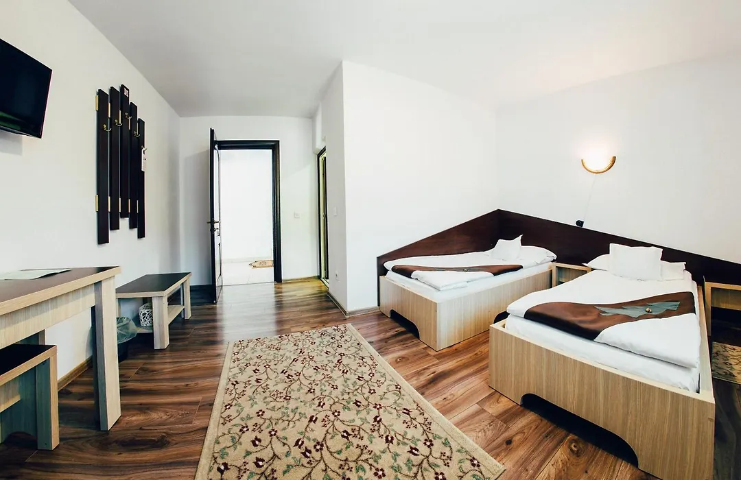 Casa Bradul Voronet-1