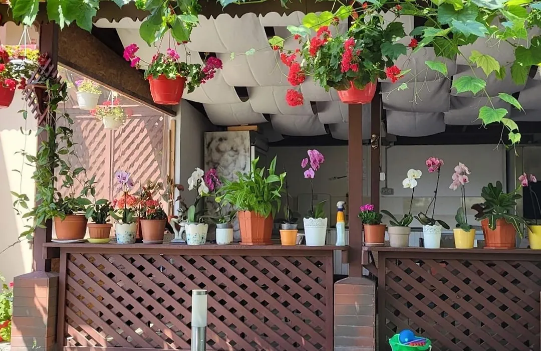 Casa Sunshine-1