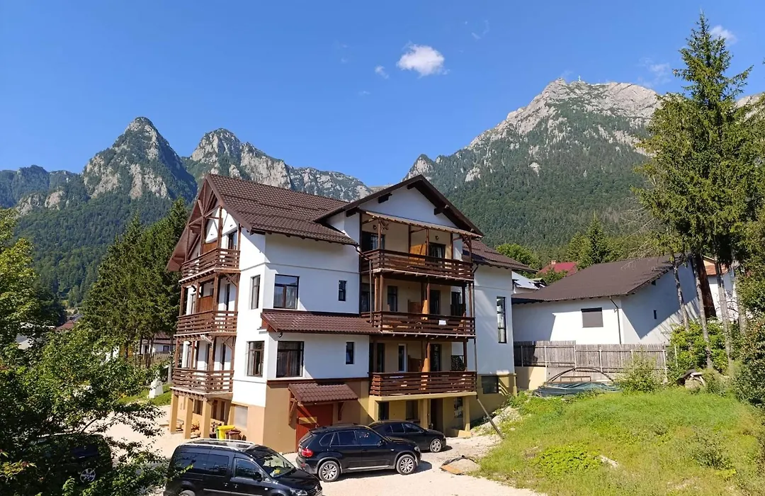 Vila Panoramic Busteni-1