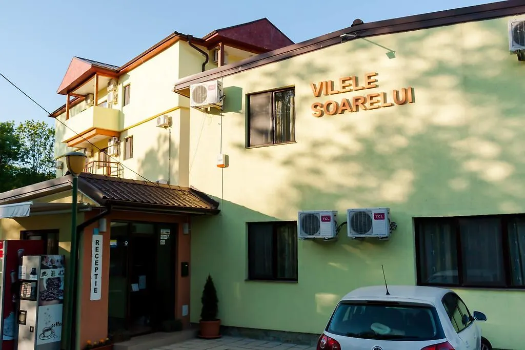 Vilele Soarelui-1