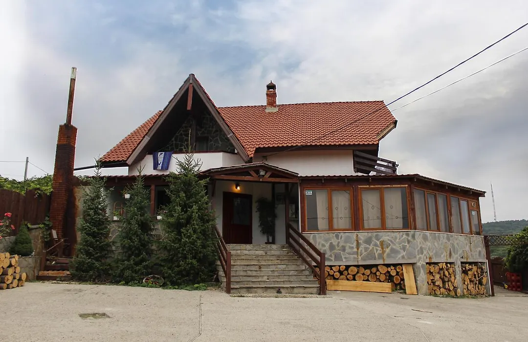 Pensiunea Taverna Bucium-1