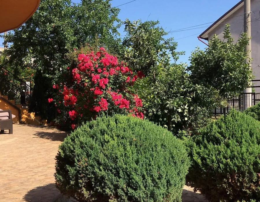 Vila Patricia-1