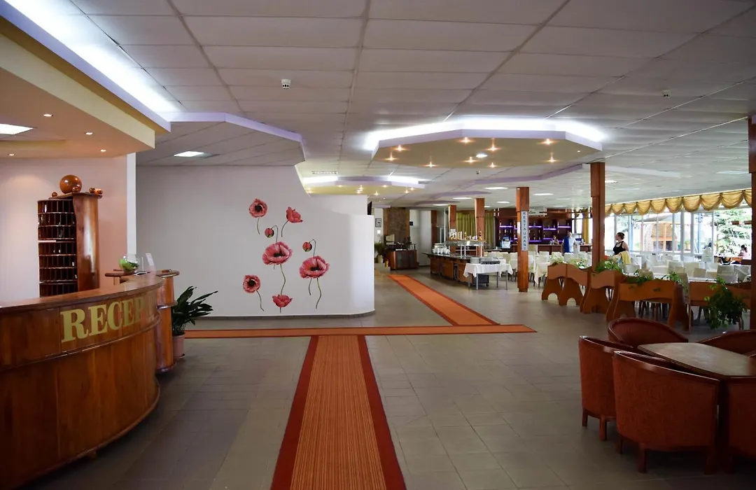 Balaton Hotel-1