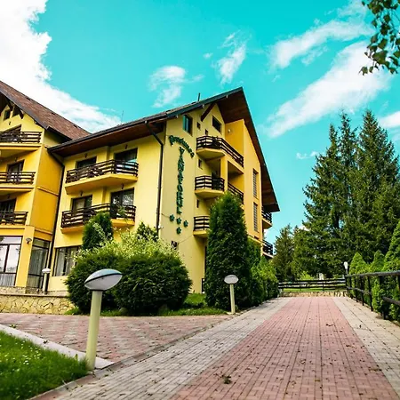 Pension Vanatorul-2