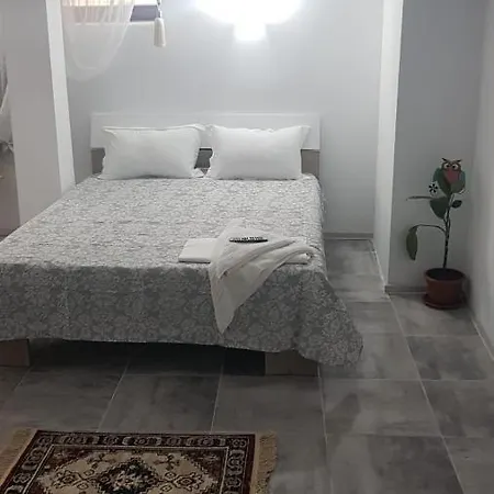 Casa Andrei Techirghiol-3