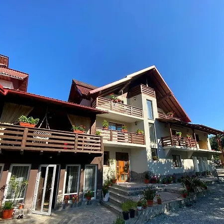 Vila Sorina-2