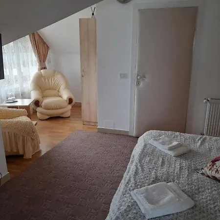 Pensiunea Alessia-3