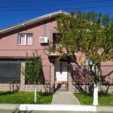 Vila Dragomir-2