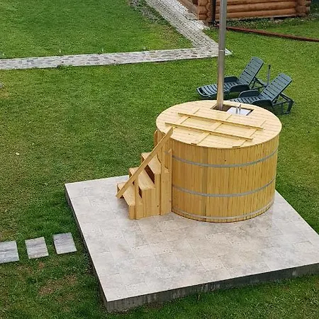 Casa Alesia Bucovina-2