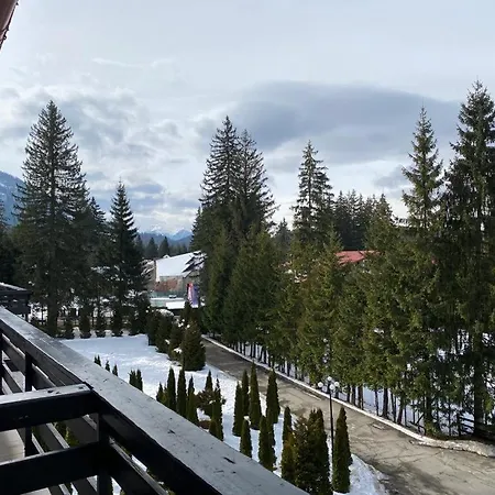 Hotel Miraj - Restaurant & Sauna & Biliard-2