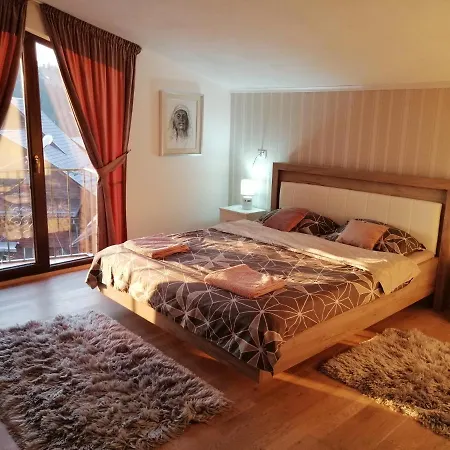 Pensiunea Timiș-2