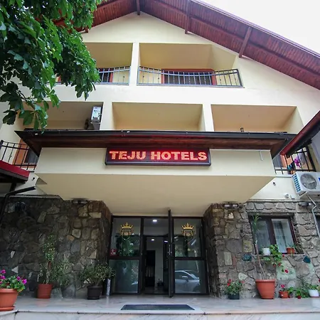Teju Hotels-2