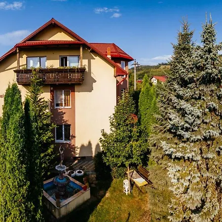 Pensiunea Bucovina-2