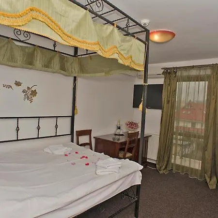 Pensiunea Tatarasi-3