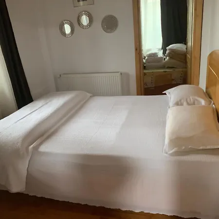 DELTA DUNĂRII -Casa IULIA -Partizani-2