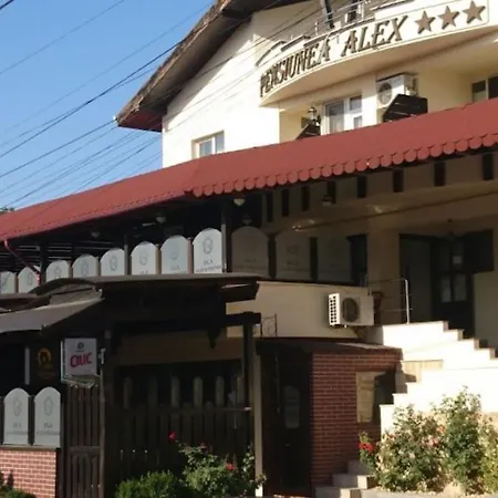Vila Alex&Razvan-2